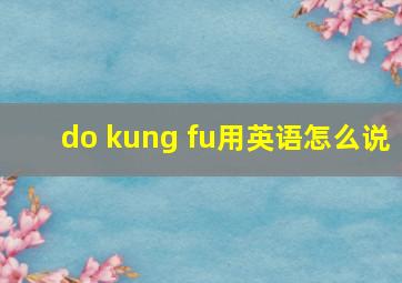 do kung fu用英语怎么说